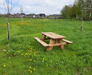 Dorpsboomgaard Bruchem
